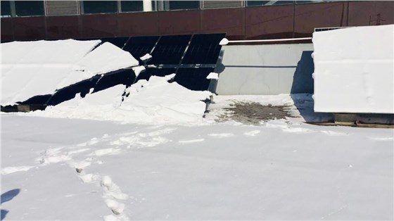 1603437770296 1603437770296