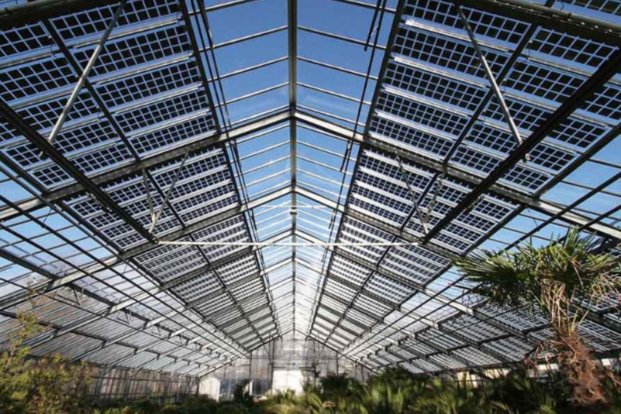 Raytech Double Glass Modules and Agricultural Greenhouses Are More Matching