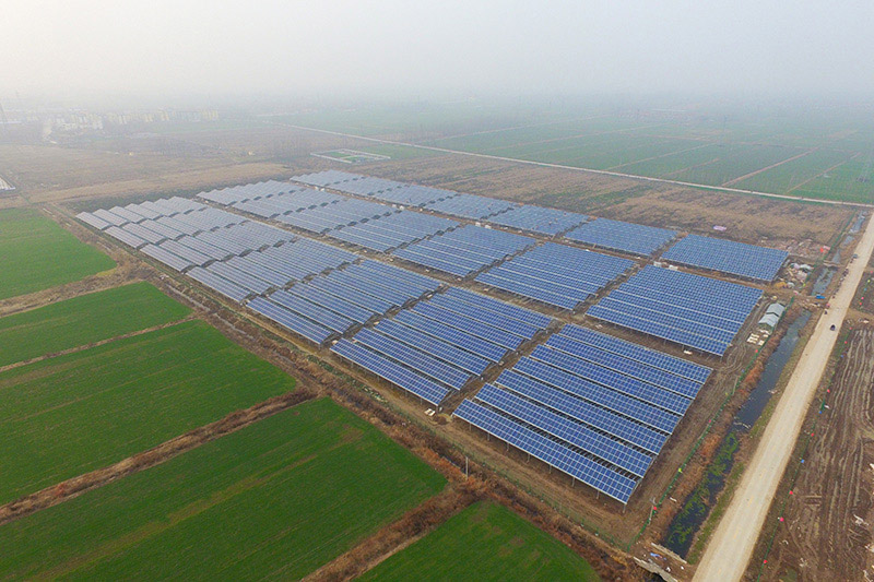 Shandong Agri-PV Complementary Photovoltaic Power Station