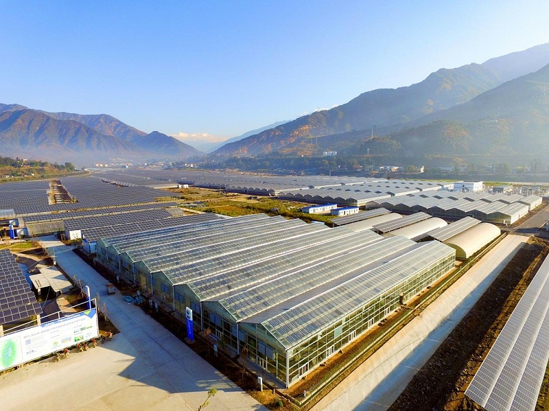 Shandong Qingdao Agricultural Photovoltaic Power Station