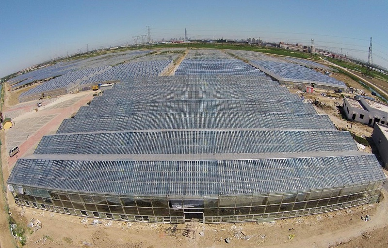 Tianjin Agricultural Photovoltaic Power Station