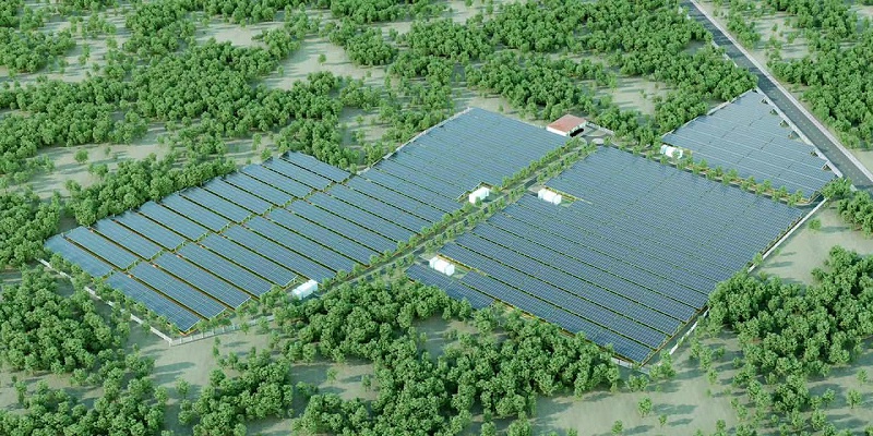 Vietnam's 2MW Graziry-PV Complementary Power Station