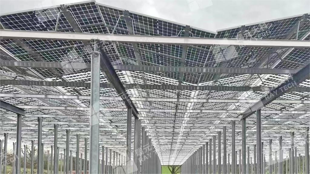 Raytech’s customized light-transmitting modules help Germany’s Agri-PV projects, and doublel-glass technology leads a new chapter in green agriculture