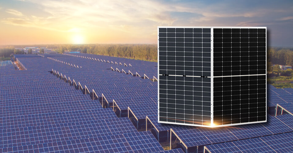 Double Glass Bifacial Modules